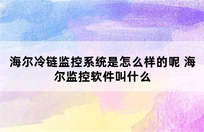 海尔冷链监控系统是怎么样的呢 海尔监控软件叫什么